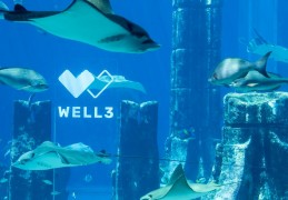 WELL3 与 Token2049 迪拜联手举办全球最大加密会议上的首个沉浸式健康聚会